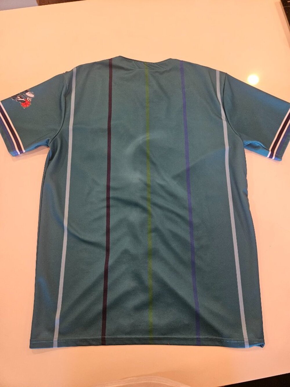 Charlotte Hornets Baseball Jersey - Picture 10 of 10